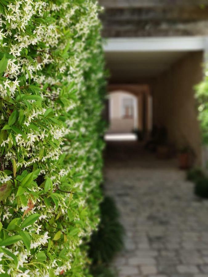 Coliving Add Livitum Hotel Ciutadella  Eksteriør billede